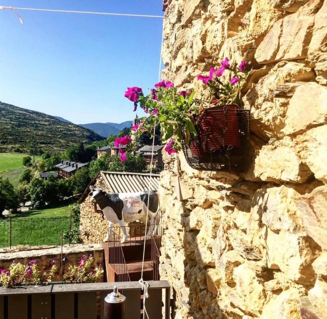 Preciosa Casa Rural Cal Felipet En Olopte-Cerdanya 外观 照片